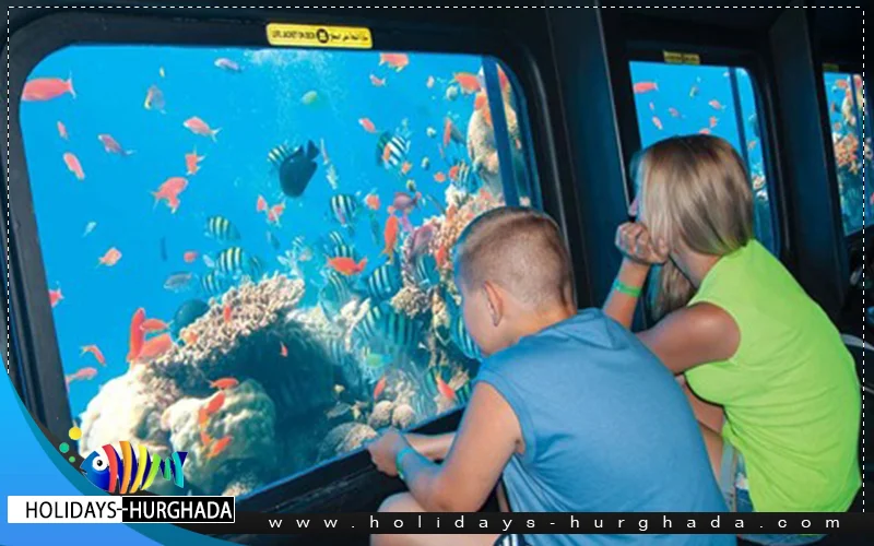 Panorama Submarine Trip - Photo 1