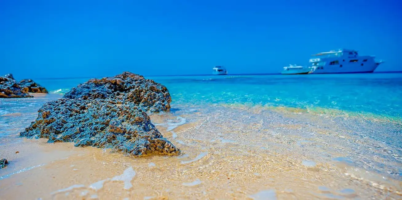 Orange Bay Island & Happy Dolphin Submarine 2-in-1 - Photo 3